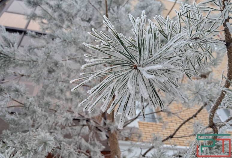 Небывалый мороз: в Казани побит температурный рекорд, державшийся 118 лет