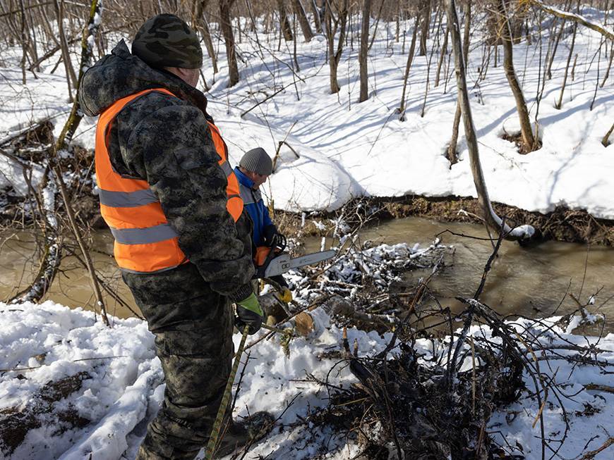 Бобрам сломают плотины, а пешеходам построят трапы: Татарстан готовится к паводку