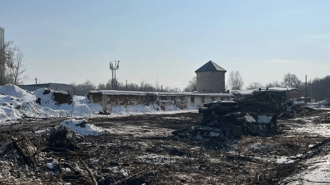 Комитет по охране ОКН о вырубке деревьев на «Ферме-2»: застройщик имеет все необходимые разрешения