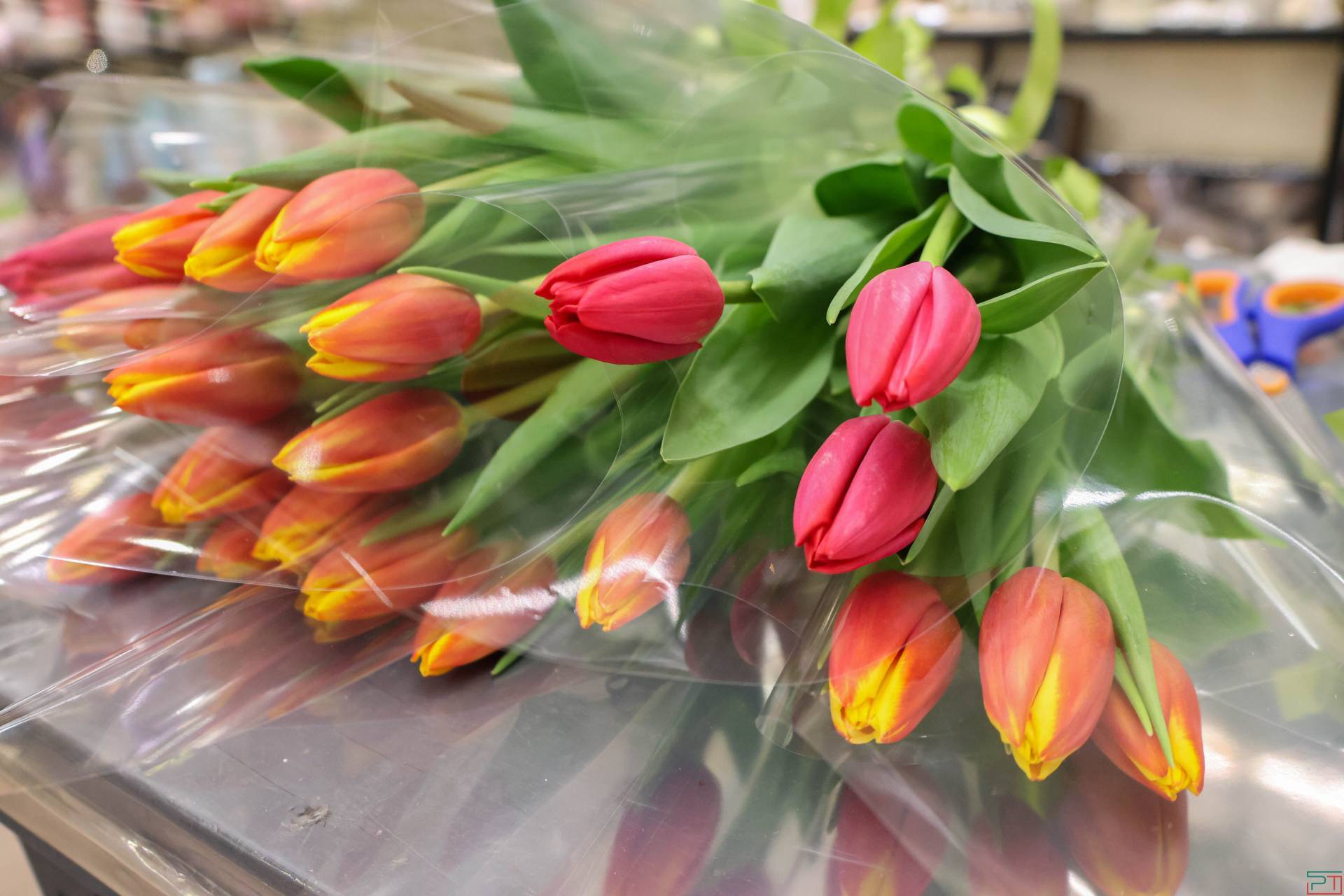 Эксперт предупредил о росте активности кибермошенников перед 8 Марта