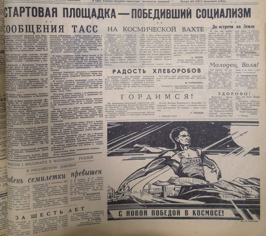 Чайка в космосе