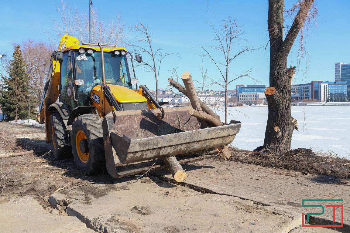 «Не трогали бы ивы – не было бы скандала»: казанцев возмутила вырубка деревьев на Кабане