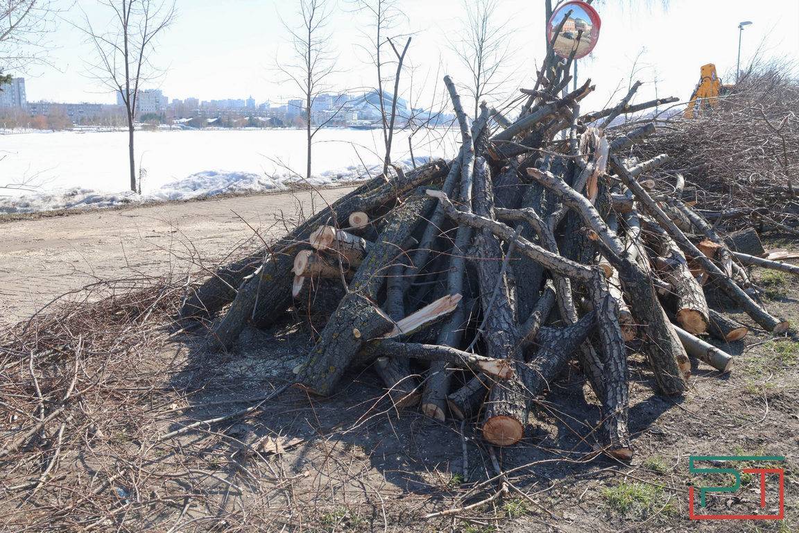 «Не трогали бы ивы – не было бы скандала»: казанцев возмутила вырубка деревьев на Кабане