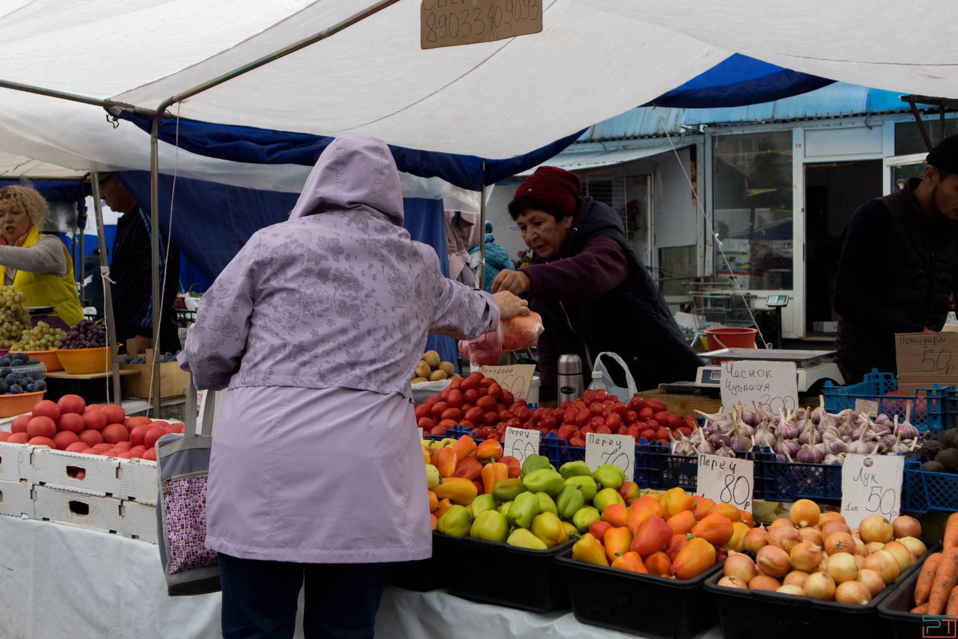 За три ярмарки жители Татарстана приобрели сельхозпродукцию на 283 млн рублей