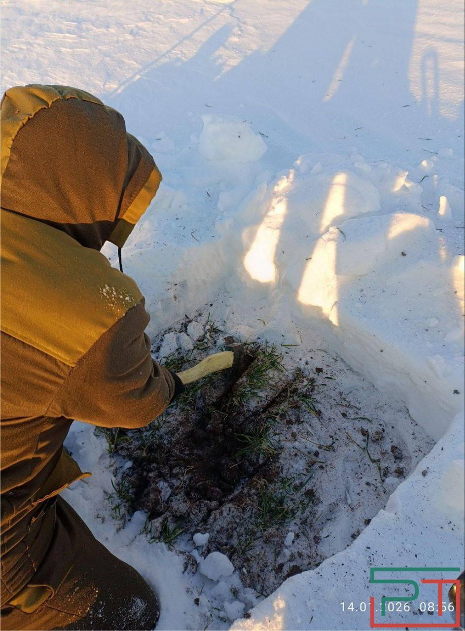 «Бурная весна – угроза урожаю»: аномальная зима испытывает на прочность озимые