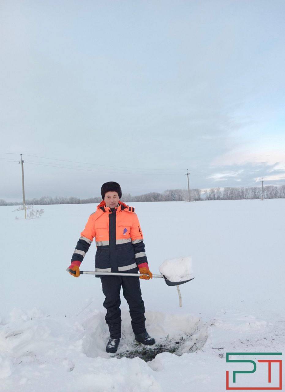 «Бурная весна – угроза урожаю»: аномальная зима испытывает на прочность озимые