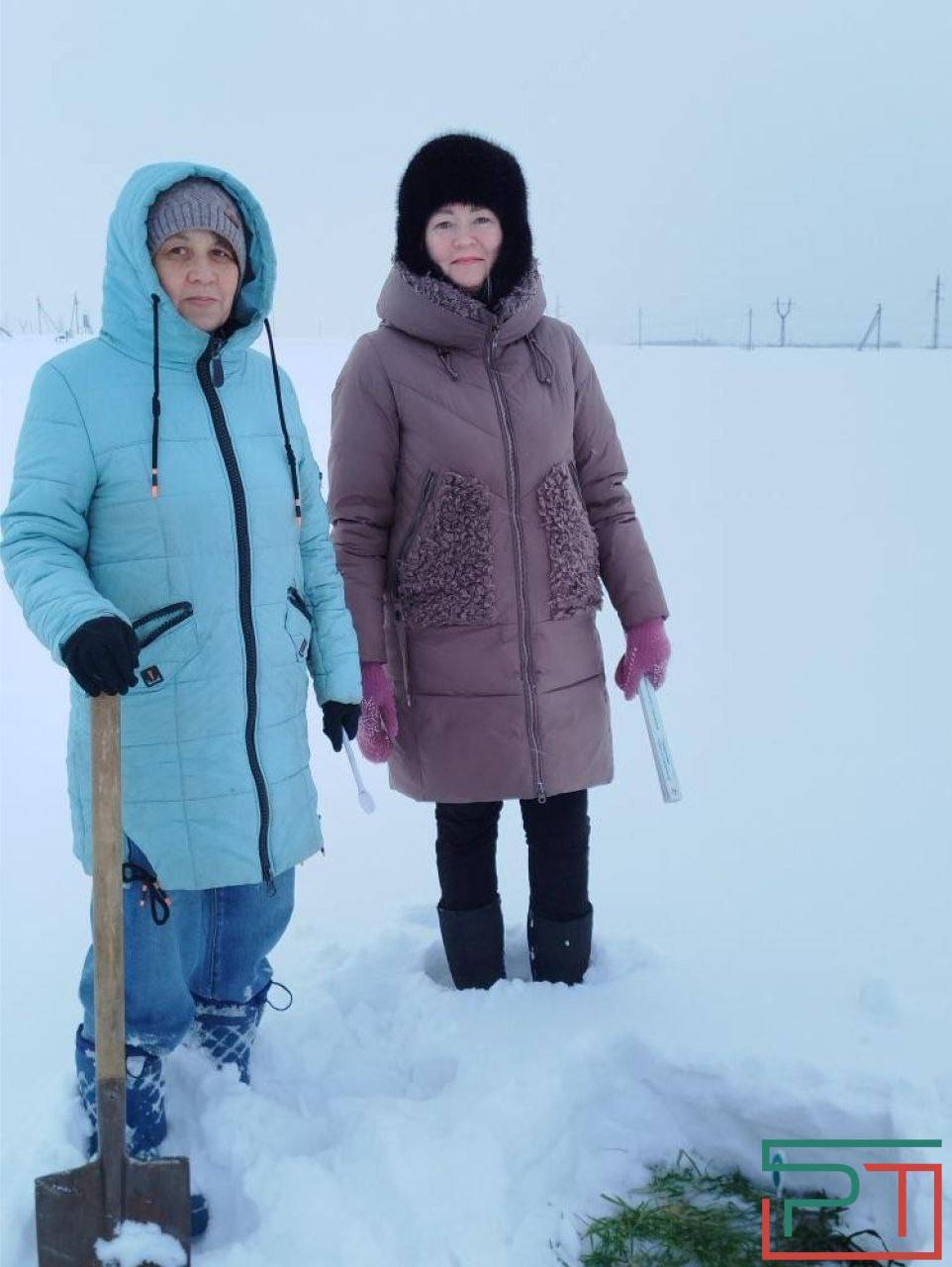 «Бурная весна – угроза урожаю»: аномальная зима испытывает на прочность озимые