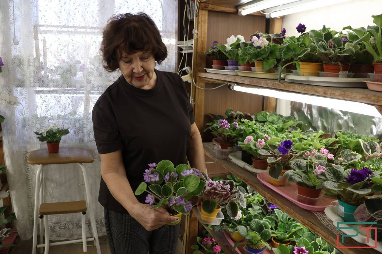 Авантюра, Амнезия и Джек Воробей: жительница Казани 30 лет собирает коллекцию фиалок