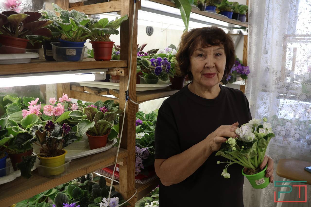 Авантюра, Амнезия и Джек Воробей: жительница Казани 30 лет собирает коллекцию фиалок