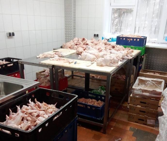 В Казани у производителя мяса изъято 685 килограммов бройлеров с сальмонеллой