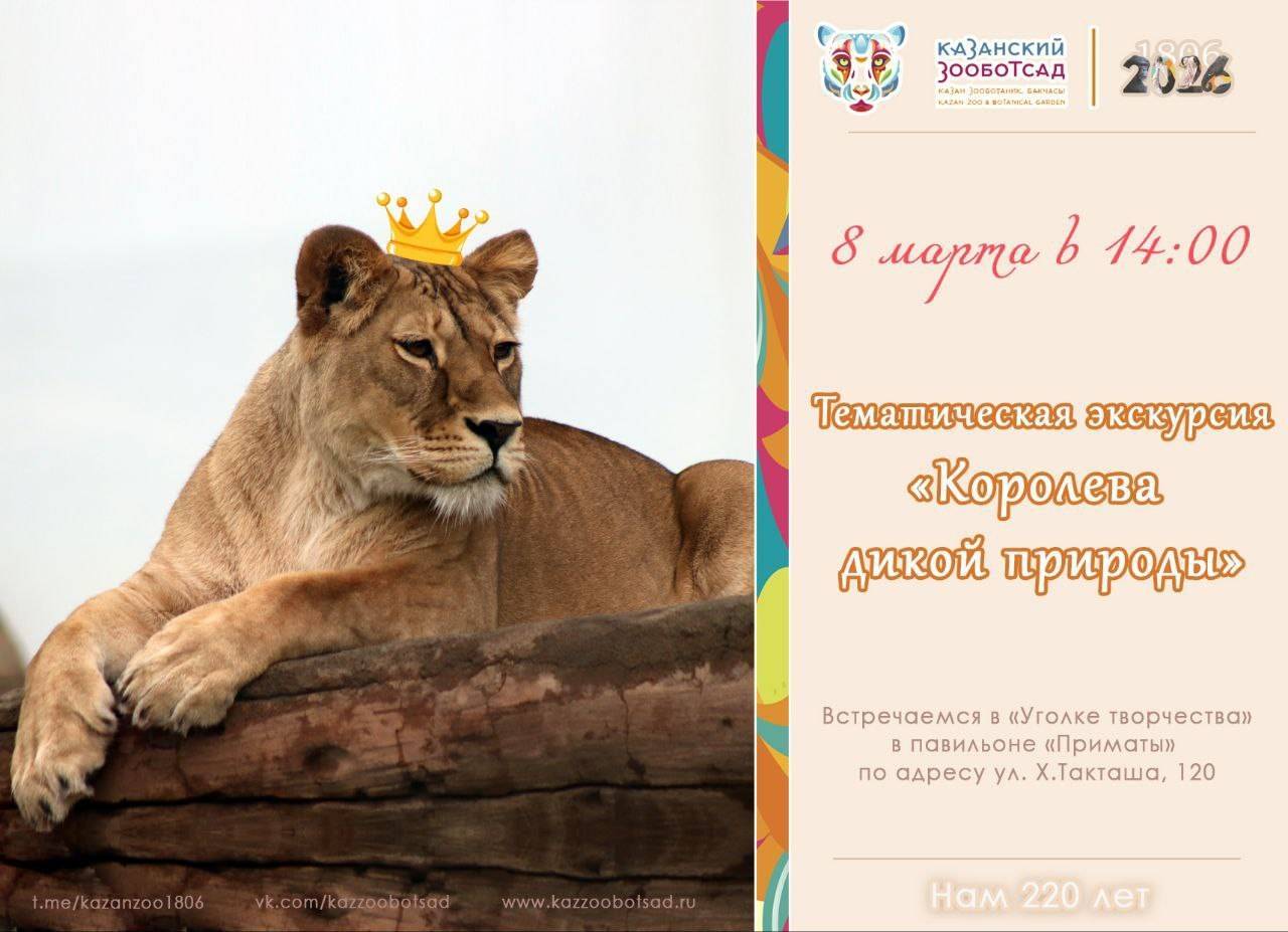 Экскурсия «Королева дикой природы» пройдет в Казанском зоопарке