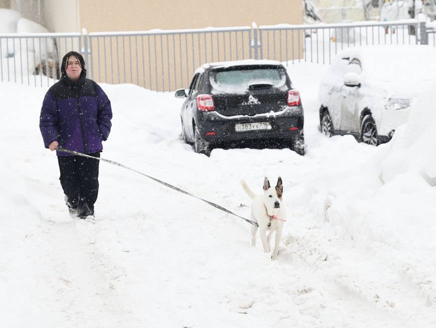 Метель и сильный ветер накроют Татарстан 8 марта