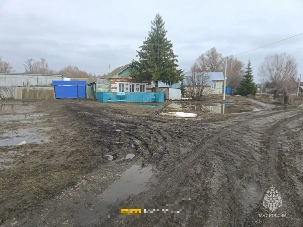 За сутки вода ушла с 15 приусадебных участков в Кайбицком районе