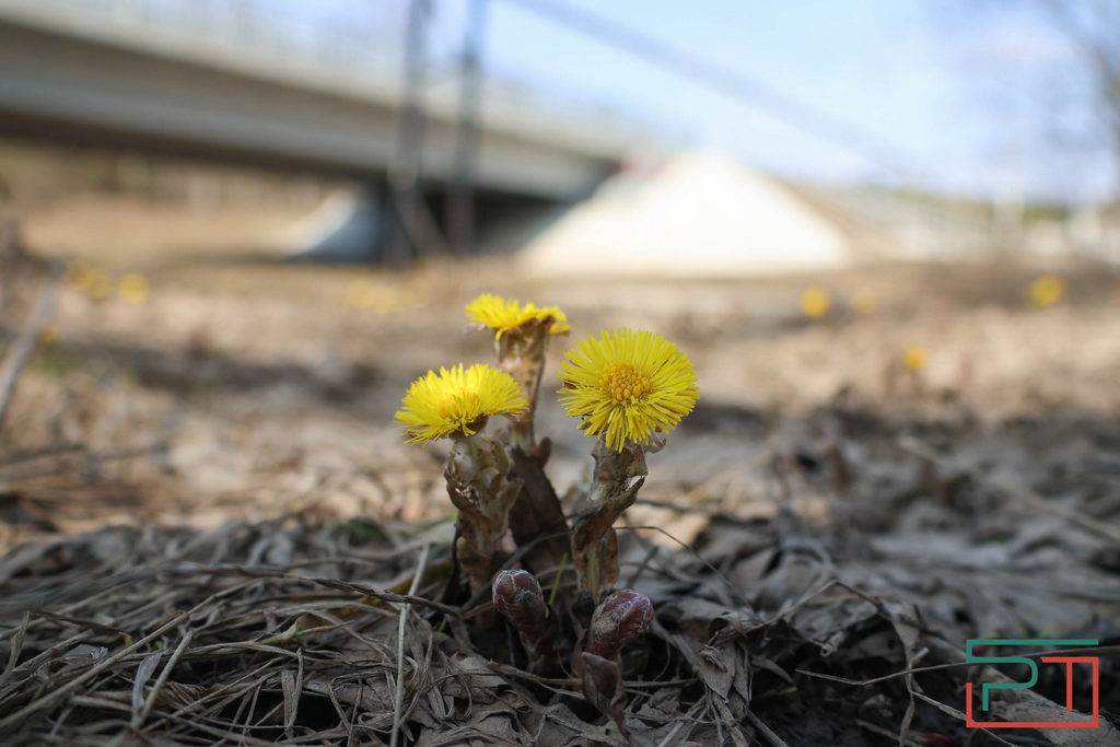 «Погибает на глазах»: в заповеднике у Раифы займутся спасением жизнеобразующего озера