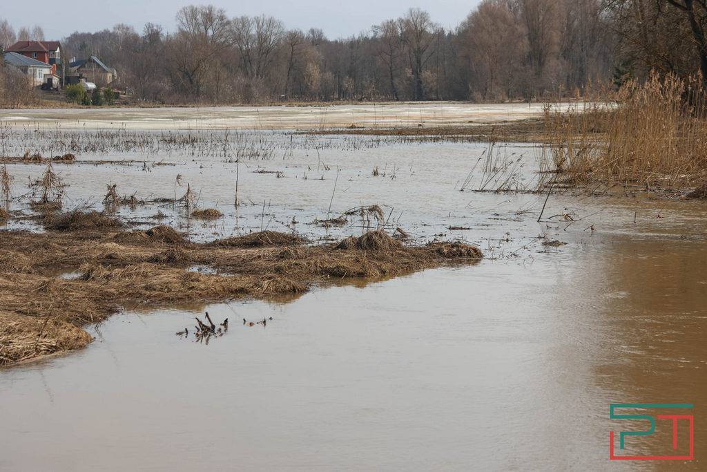 «Погибает на глазах»: в заповеднике у Раифы займутся спасением жизнеобразующего озера