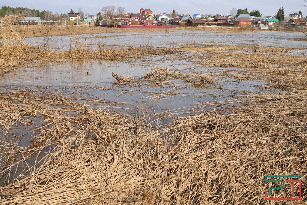 «Погибает на глазах»: в заповеднике у Раифы займутся спасением жизнеобразующего озера