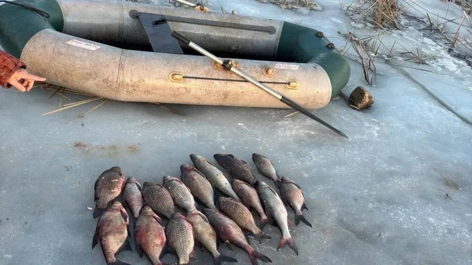 Воды хватает, но браконьеры распоясались: в Татарстане началась операция «Нерест»