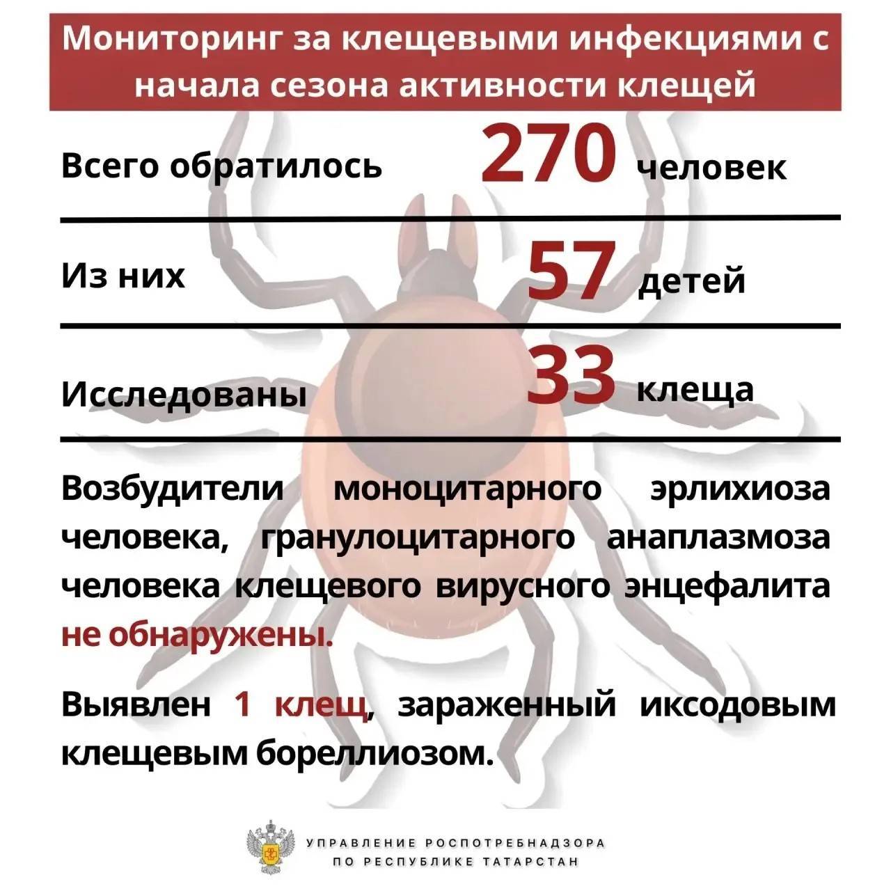 Почти 300 случаев укусов клещей зарегистрировано в Татарстане