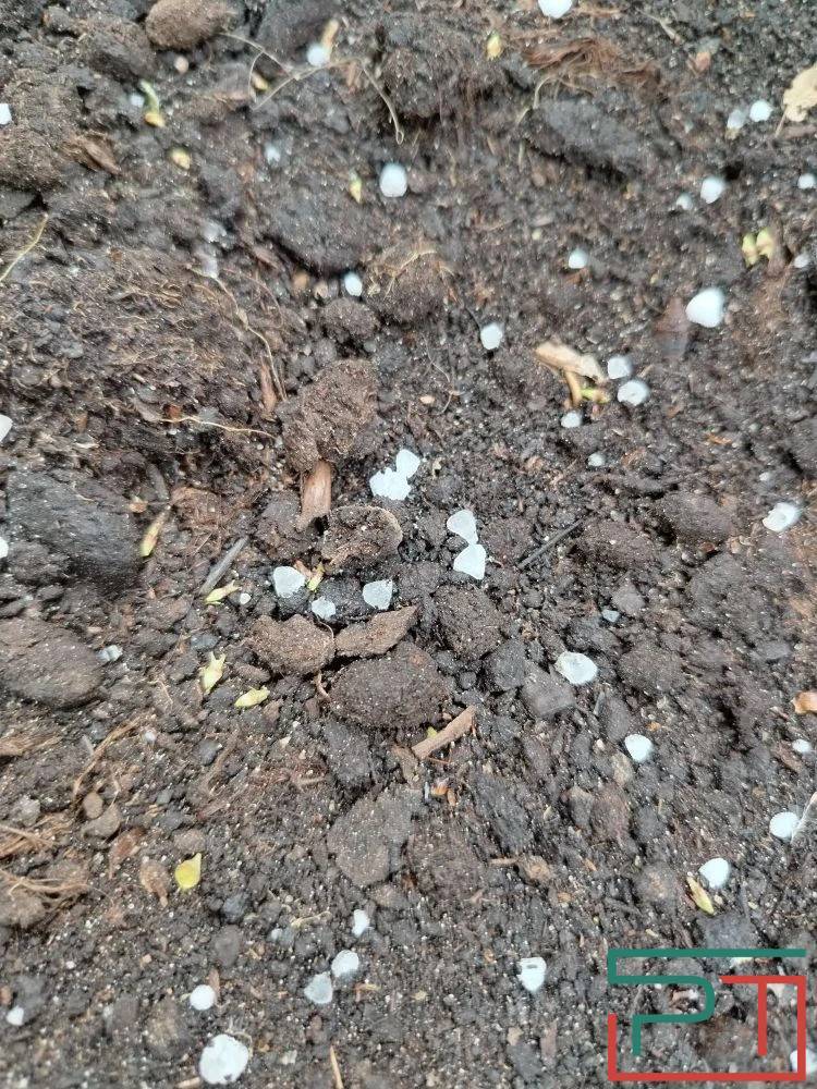 Центр Казани накрыло градом – фото