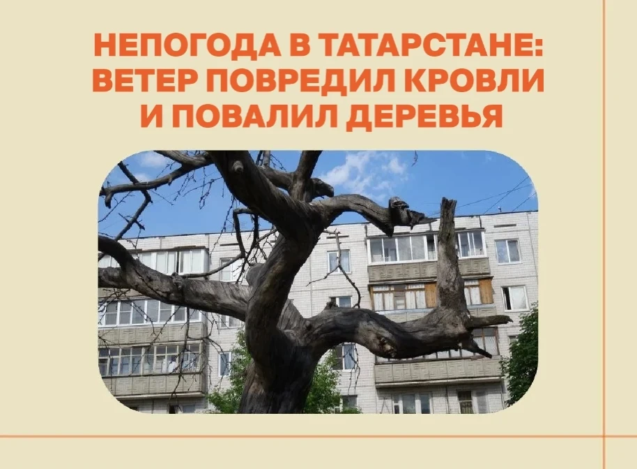 Сильный ветер повредил крышу 10 зданий и повалил более 40 деревьев в Татарстане