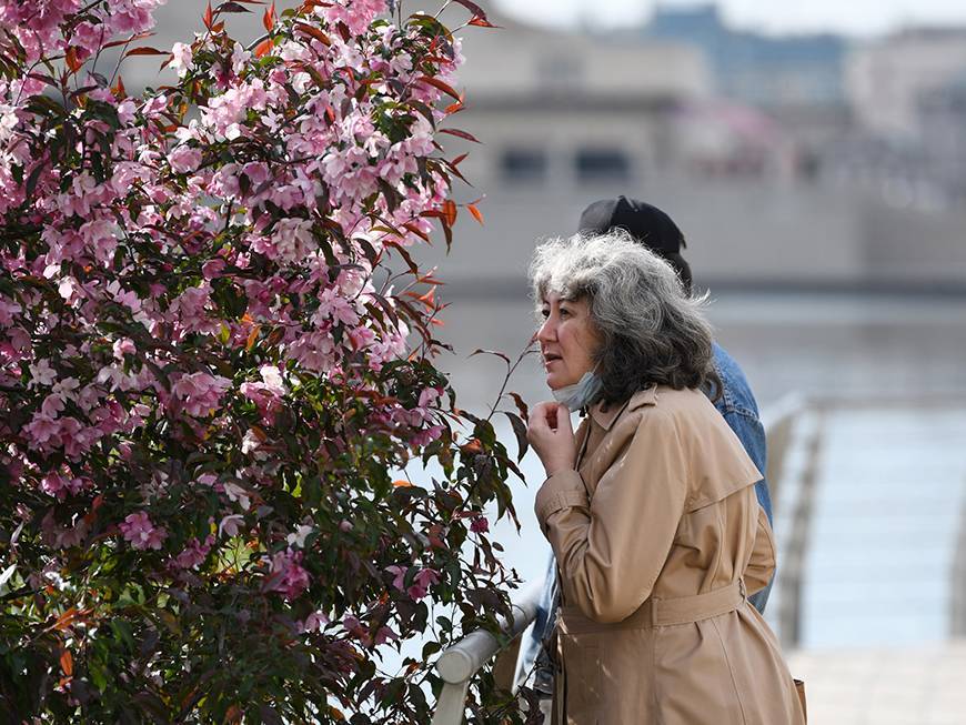 Бегут ручьи, текут носы: жителей Татарстана всё чаще мучает аллергия на пыльцу