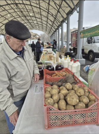 Фермеры из 12 районов привезли 230 тонн товаров на сельхозярмарки в Челнах
