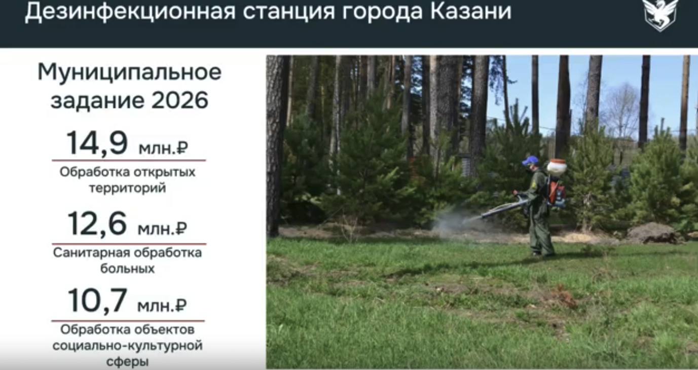 В Казани ожидают рост числа грызунов и клещей – на обработки направят на 28% больше средств