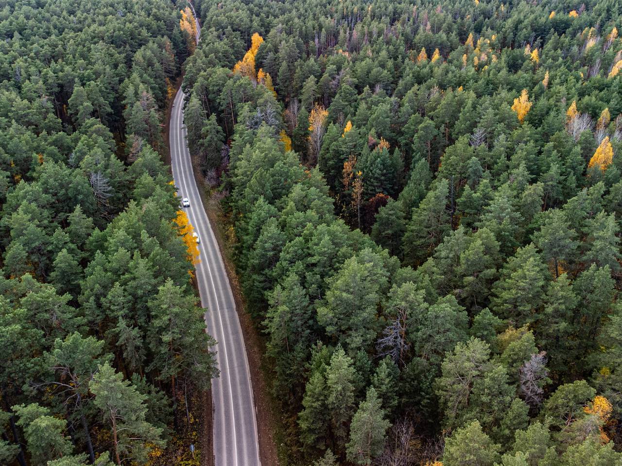 «Застроят элитными коттеджами»: татарстанцы переживают за судьбу заповедников после принятия нового закона