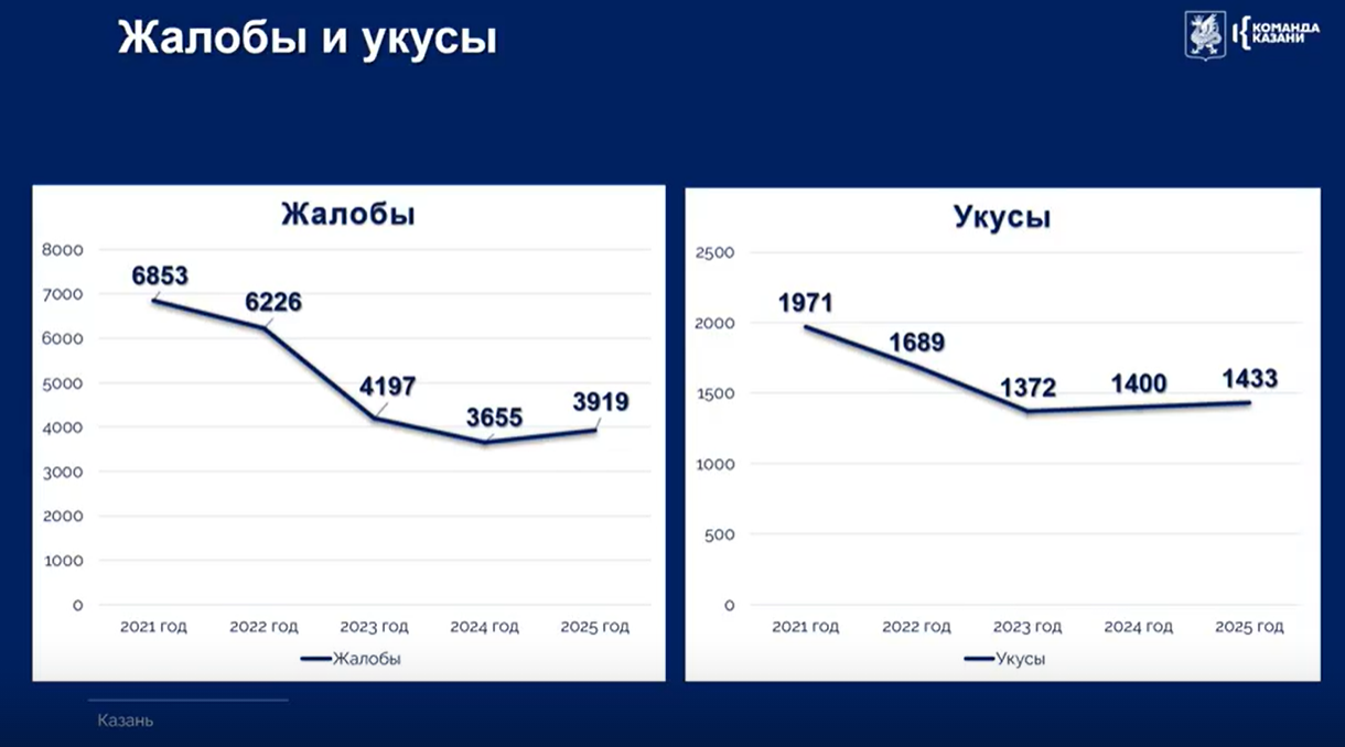 Число жалоб на безнадзорных животных в Казани упало на 43%