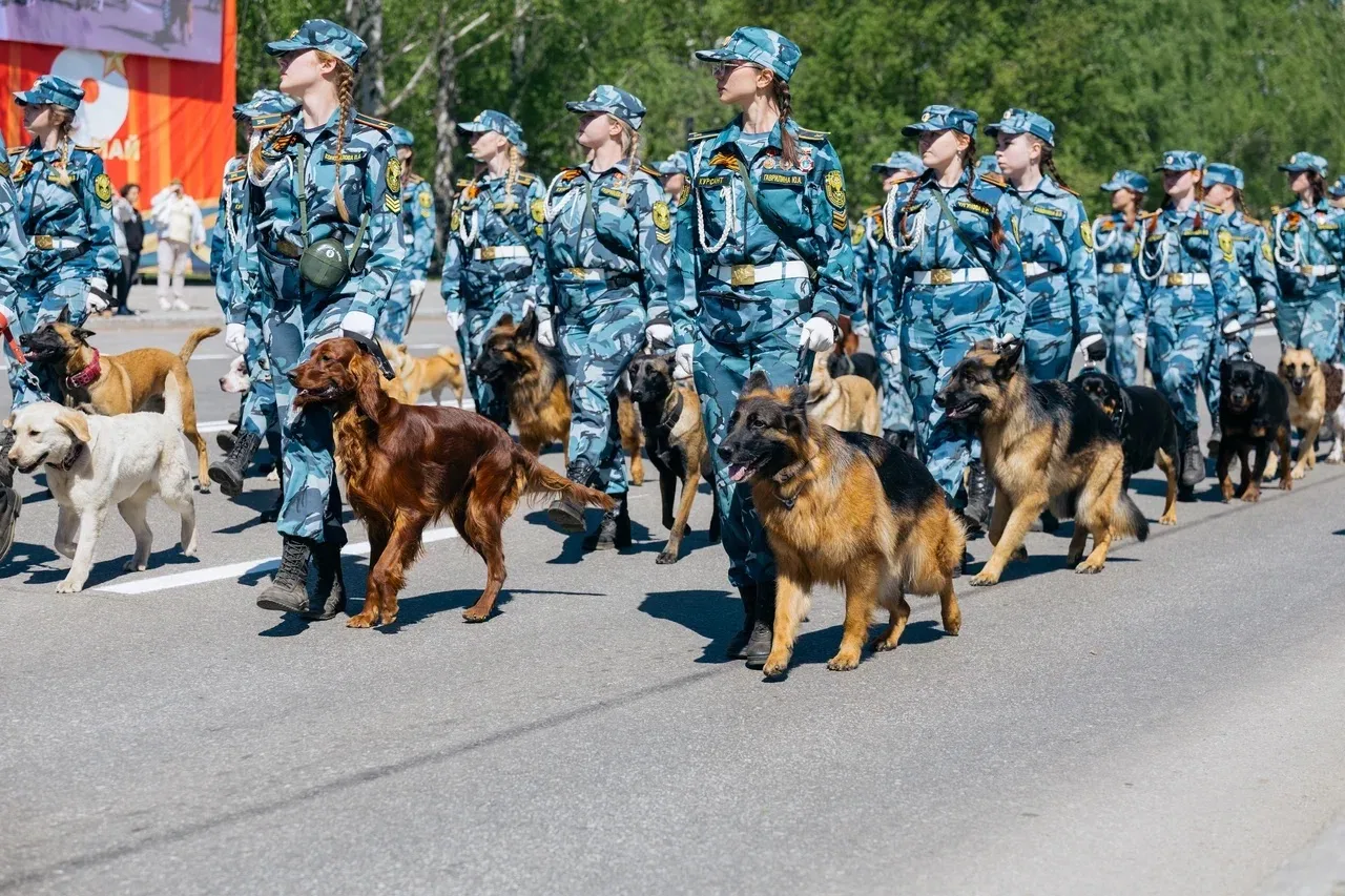 Воспитанники детсадов в Нижнекамске прошли в составе колонн на параде Победы
