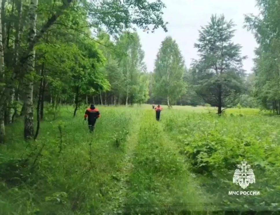 В Татарстане спасатели нашли пропавшую в лесу пожилую женщину