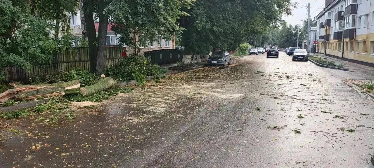 Разметал деревья и повалил столбы: в Чистополе начали устранять последствия урагана