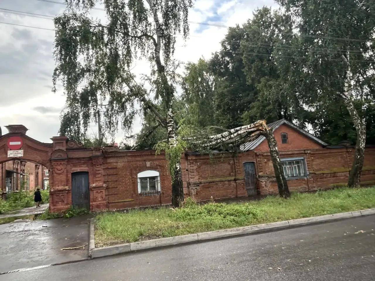 Разметал деревья и повалил столбы: в Чистополе начали устранять последствия урагана