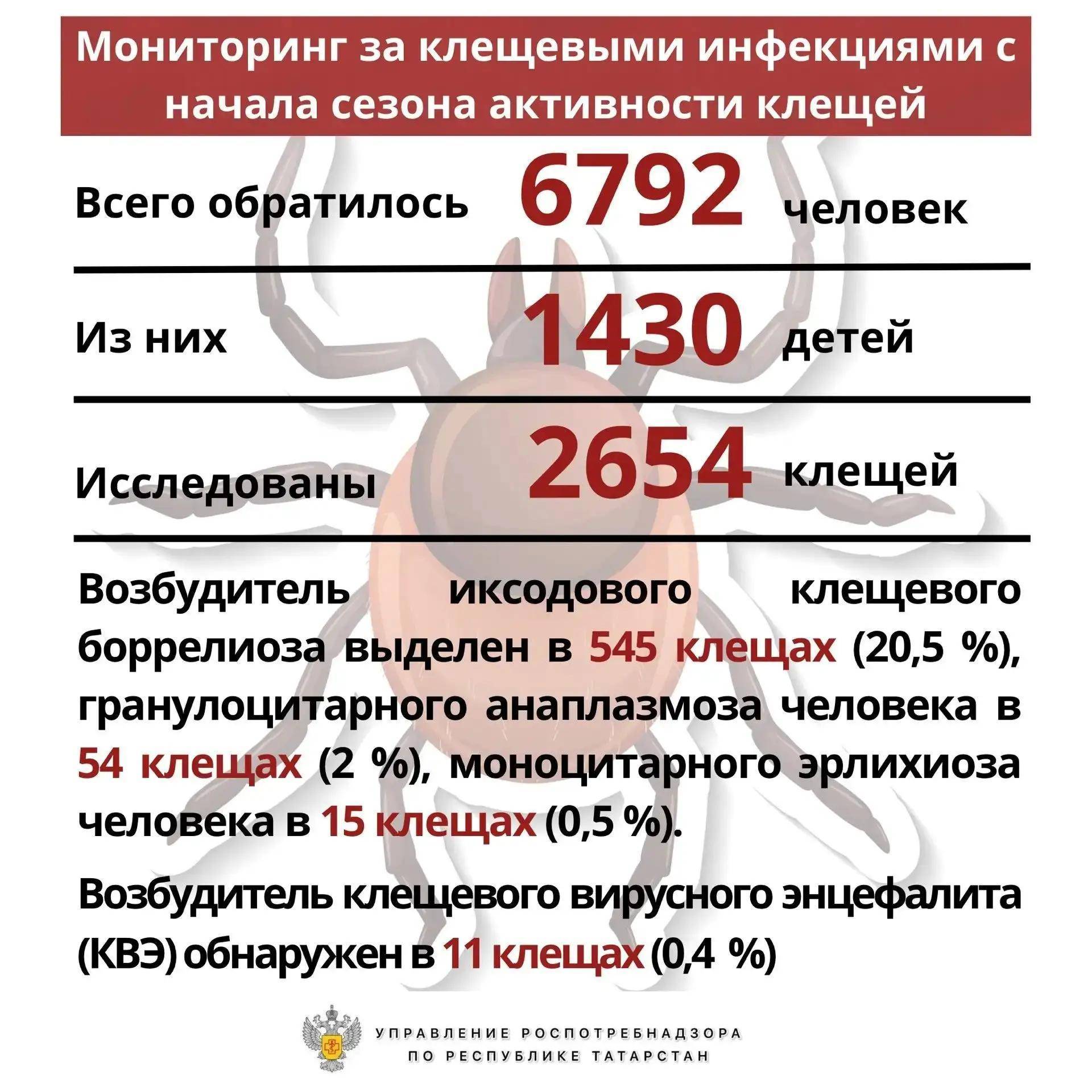 С начала сезона в Татарстане выявили 13 случаев клещевого боррелиоза