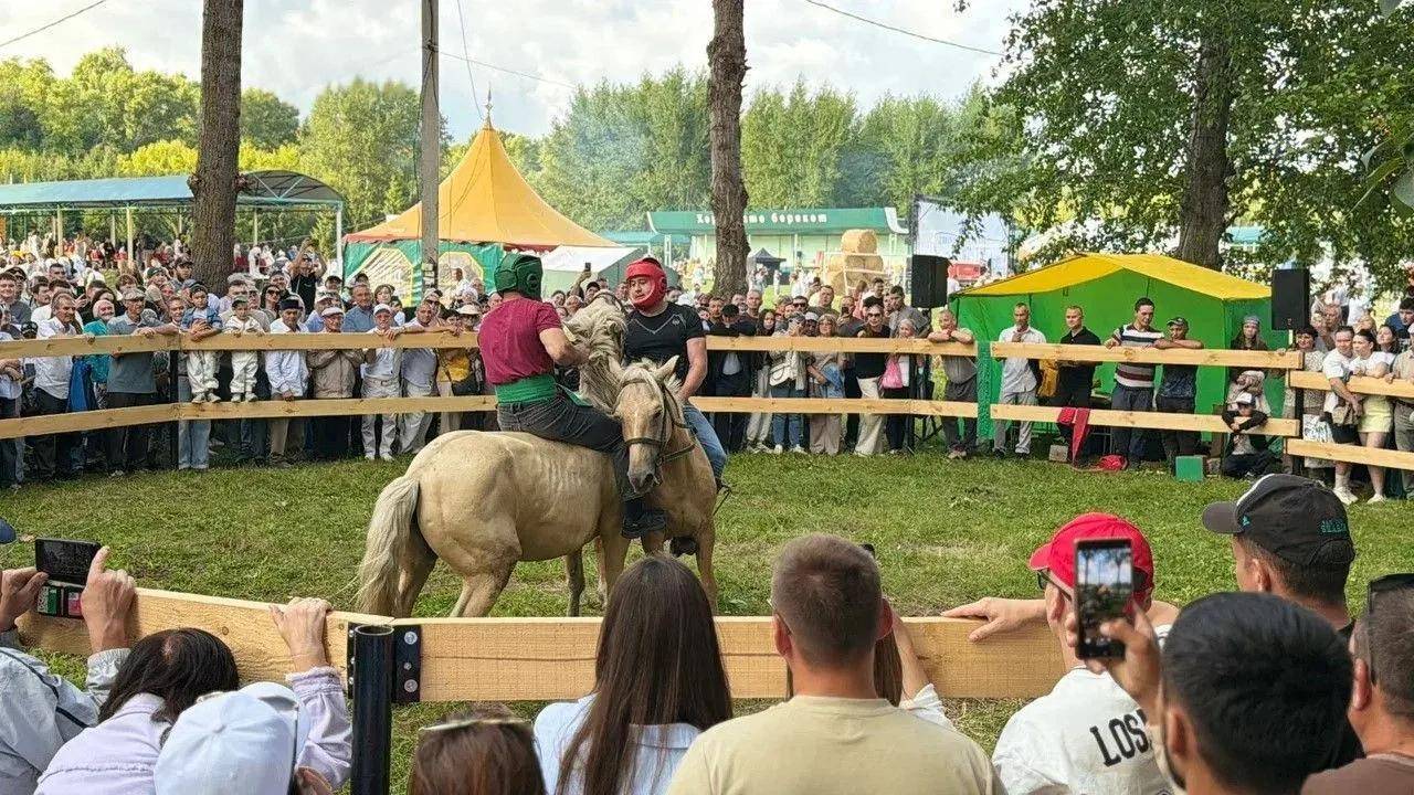 Скачки, борьба и лучшие наездники: Арск принял фестиваль «День коня»