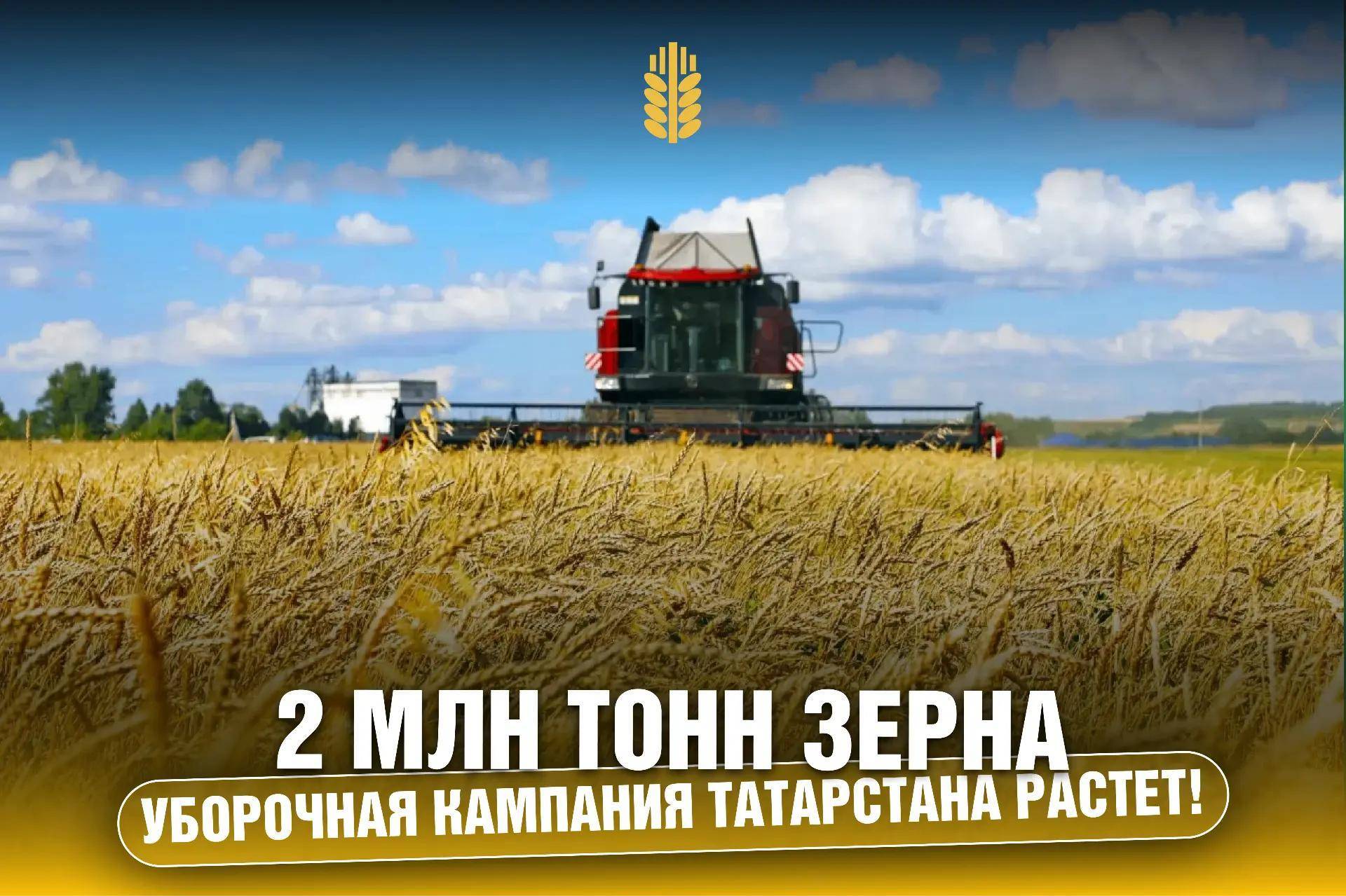 Аграрии Татарстана собрали 2 млн тонн зерна