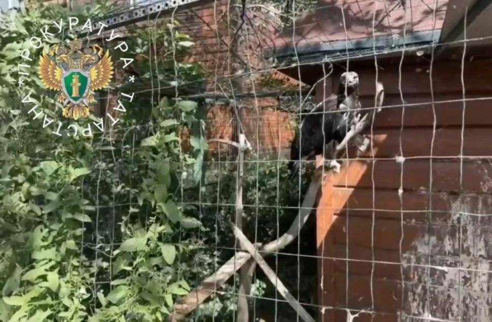Прокуратура нашла множество нарушений в нижнекамском частном зоопарке «Ноев ковчег»