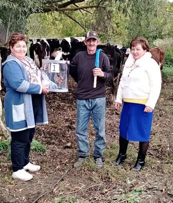 «Телят не брошу»: в Зеленодольском районе пастух проголосовал прямо в поле