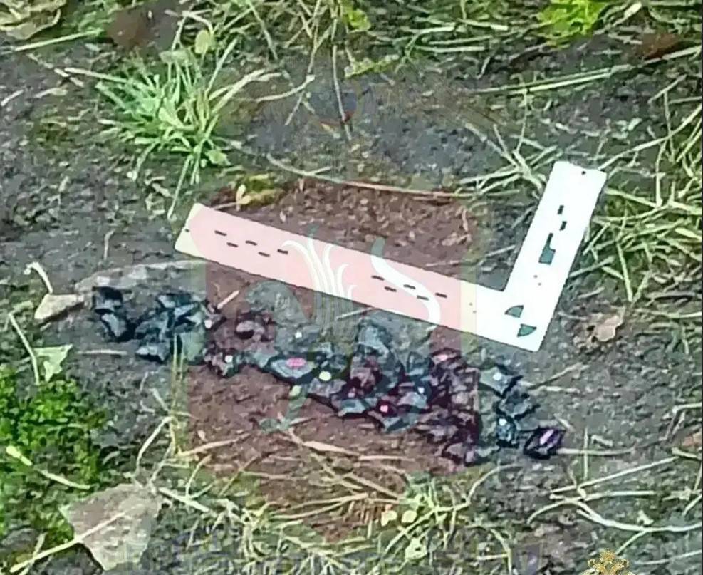 Полицейские задержали закладчика кокаина в Кировском районе Казани
