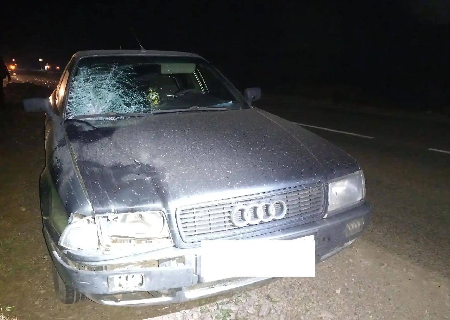 Два пешехода погибли под колесами авто в Татарстане, выйдя на дорогу ночью
