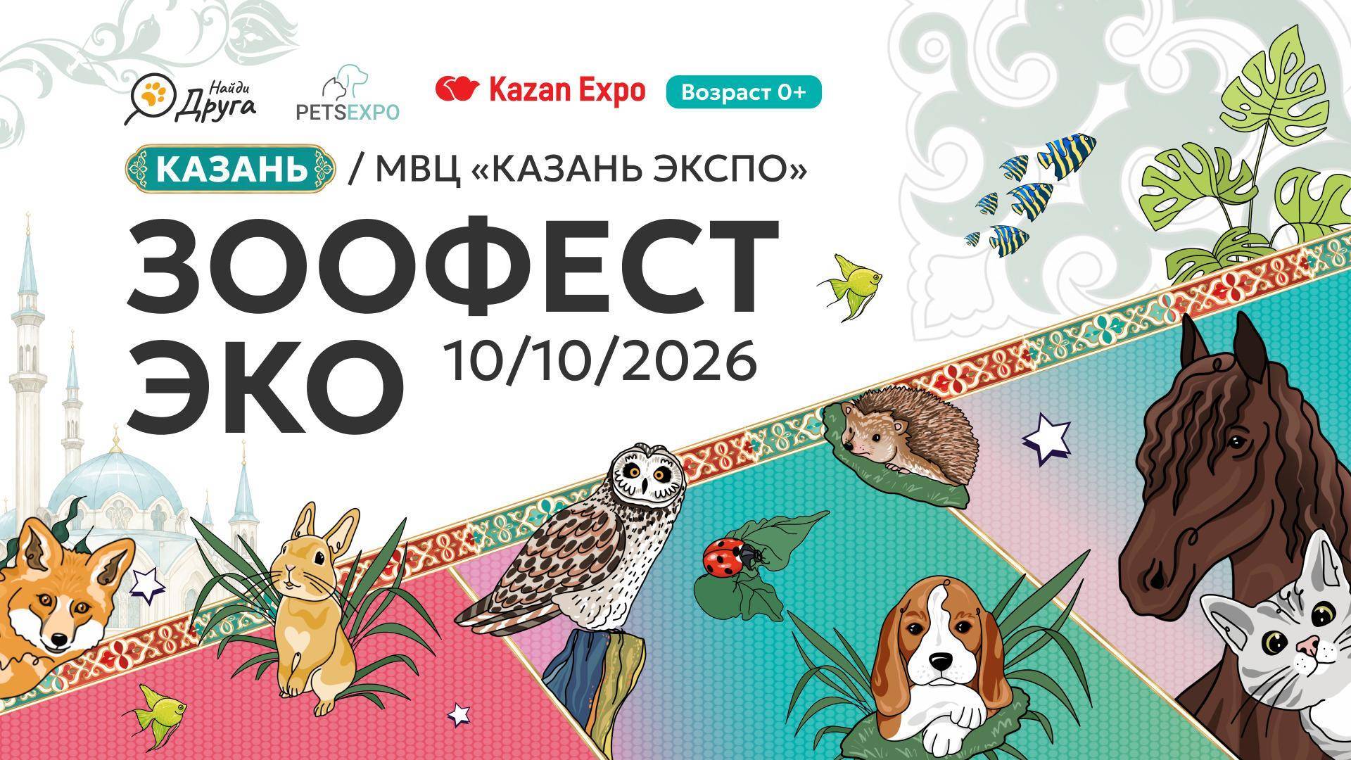 От кошек до ящериц: 10 октября в Казани впервые пройдет фестиваль, посвященный домашним животным