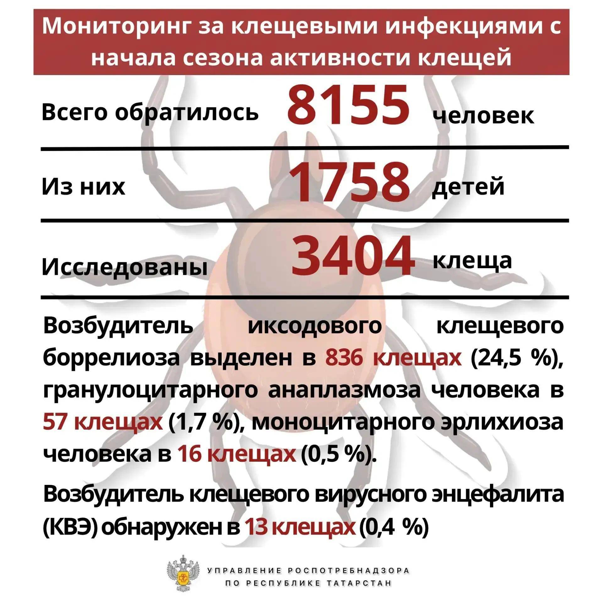За лето более восьми тысяч татарстанцев пострадали от укусов клещей
