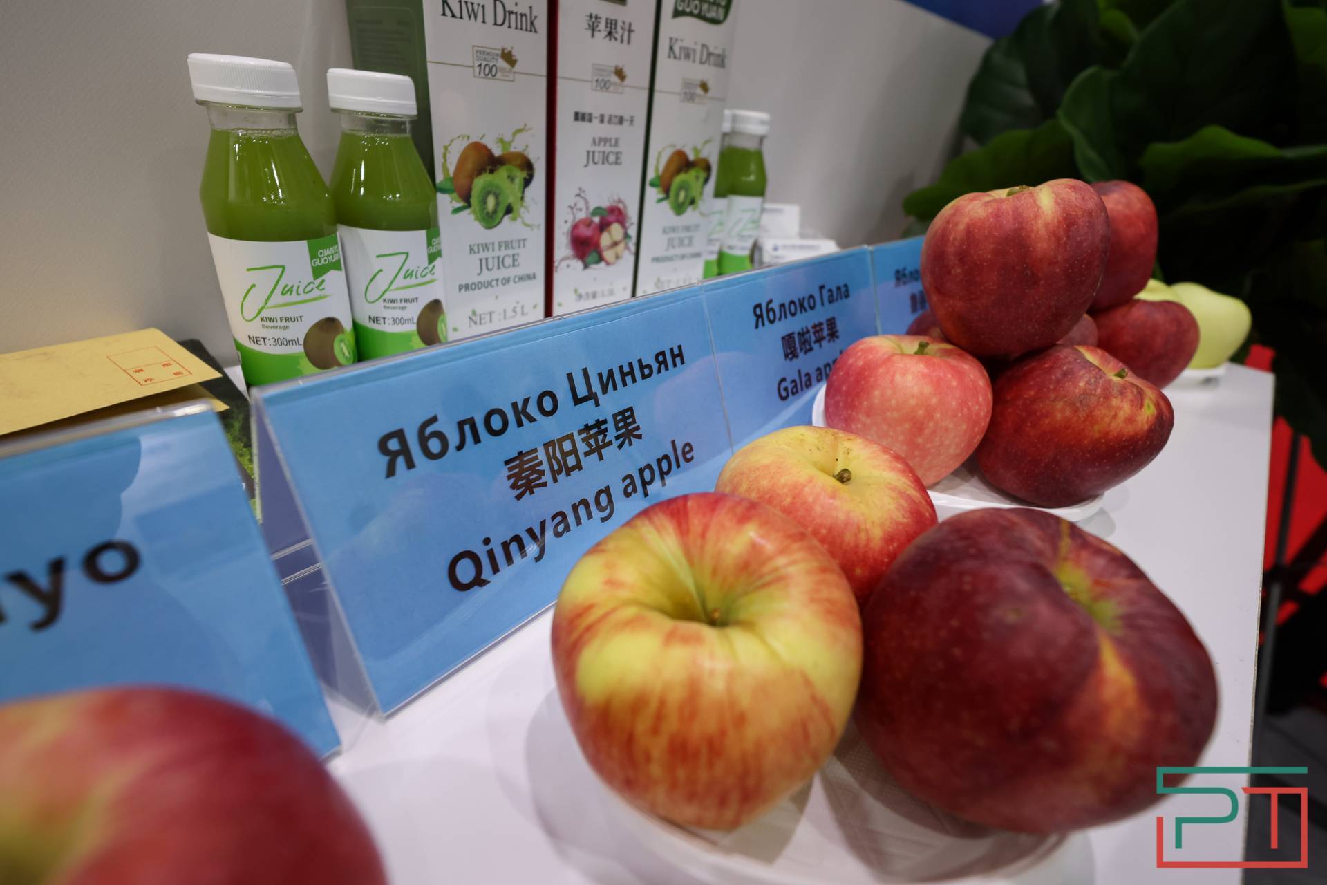 Российско-китайский форум «РОСТКИ» проходит в Казани