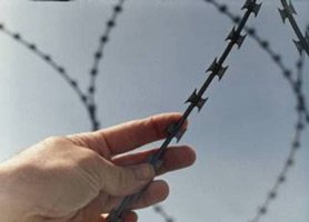 information_items_1347367523