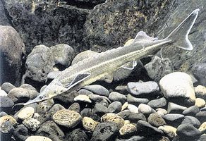 information_items_1348158827