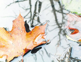 information_items_69571