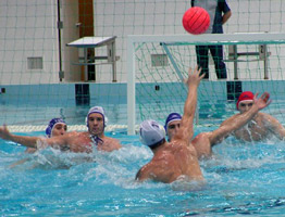 information_items_69798