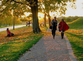 information_items_69926