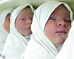 information_items_70338