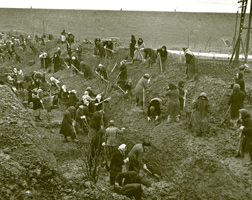 information_items_70868